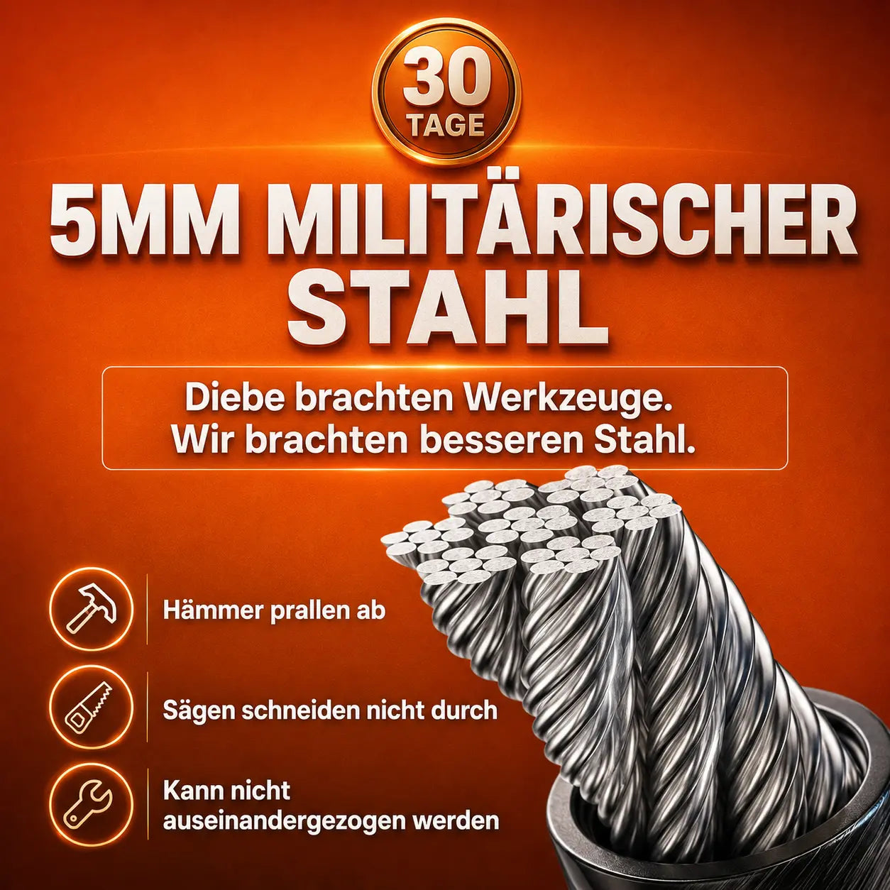lenkradsperre ™